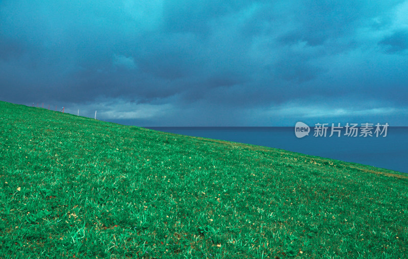 新疆博州赛里木湖旅游景区草原湖泊自然风光