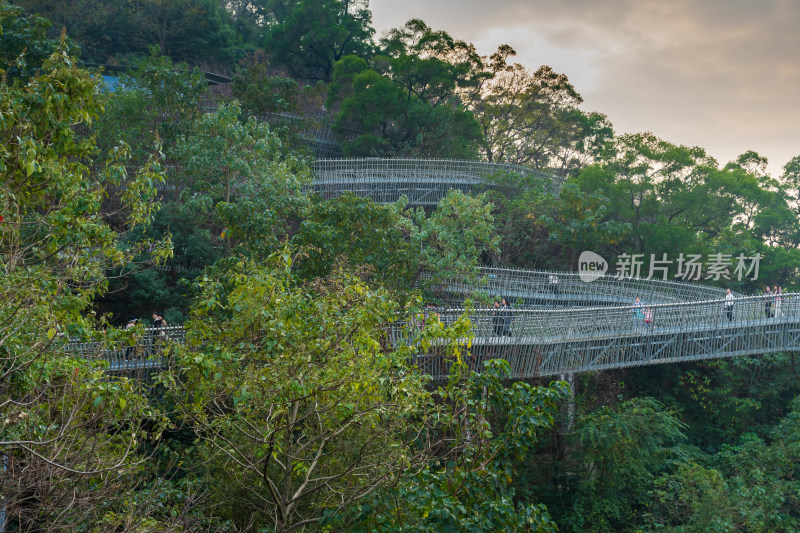 福州福道行人漫步林间悬空步道