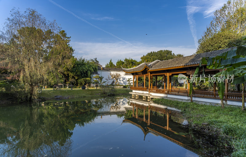 杭州西子湖畔杭州花圃风景