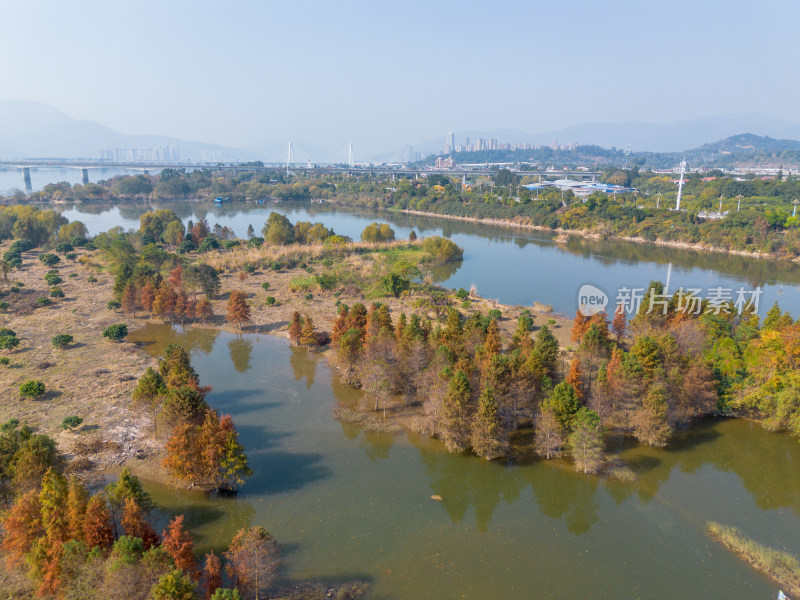 福州多彩树林沿水域分布的自然风景航拍