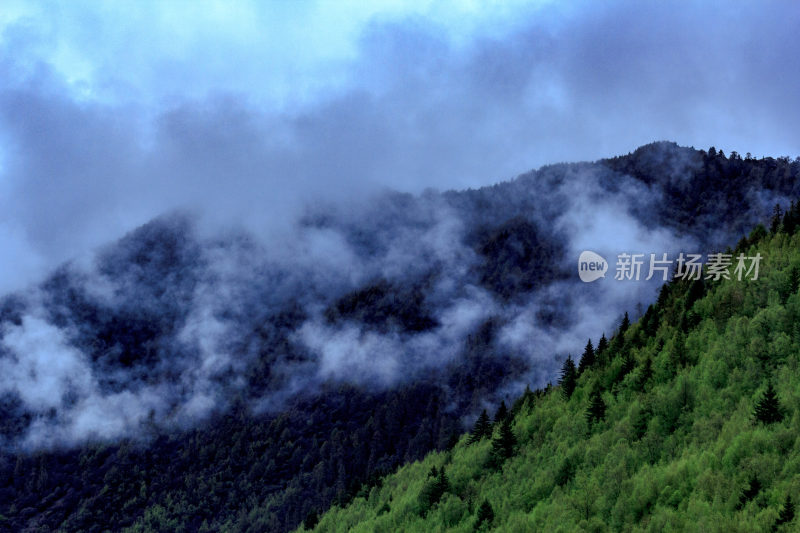 川西四姑娘山