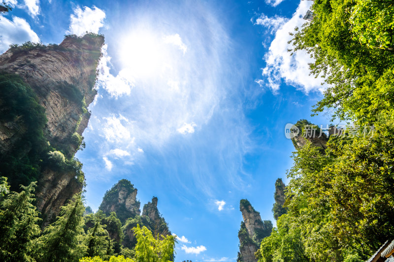 中国湖南张家界景区奇特山峰与茂密森林