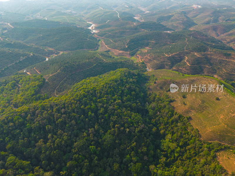 航拍山脉山林