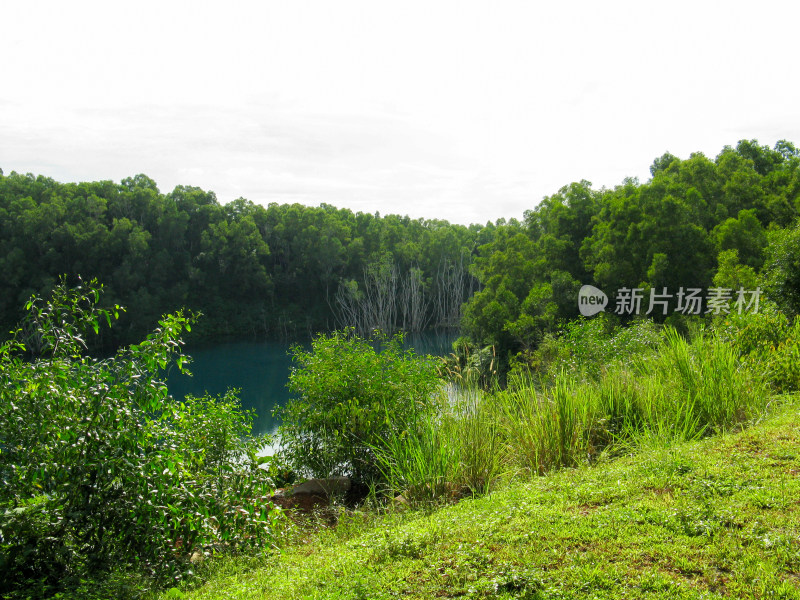 新加坡乌敏岛内的矿坑湖泊