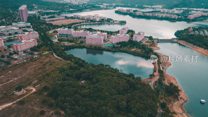 仰恩大学