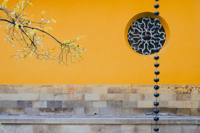 苏州西园寺的腊梅