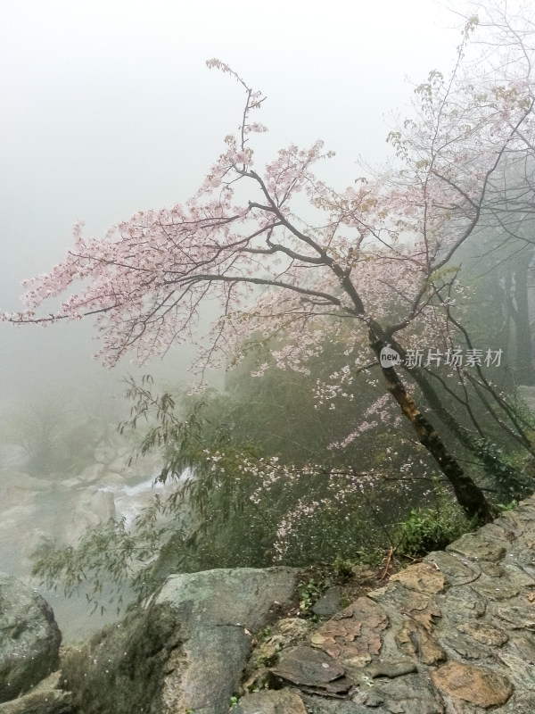 庐山风景区