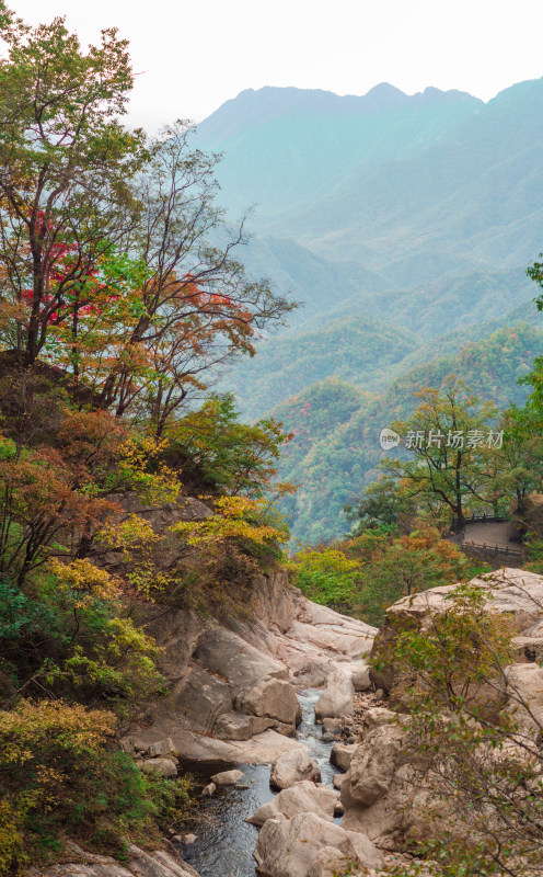 河南省洛阳白云山秋天山谷溪流风景