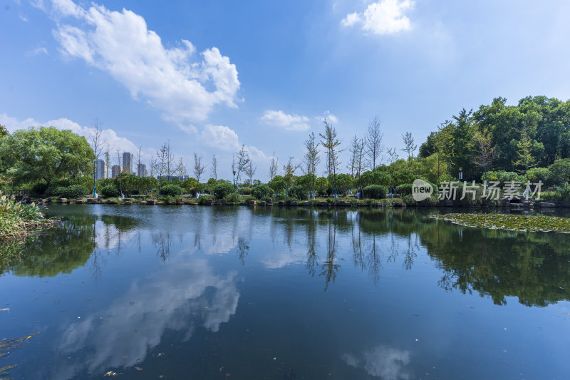 武汉蔡甸汤湖公园生态园林风景