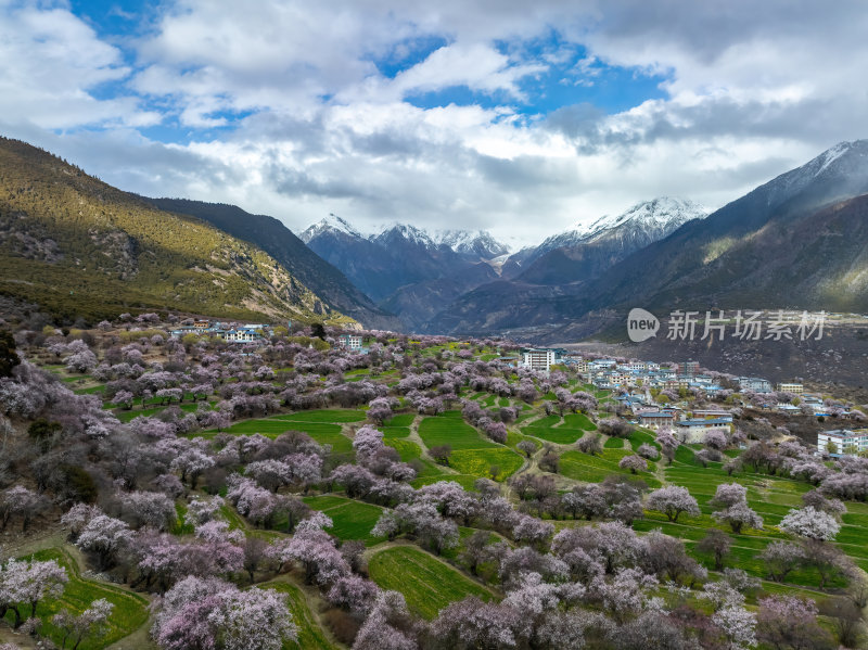 西藏林芝桃花节南迦巴瓦峰多雄拉云雾航拍