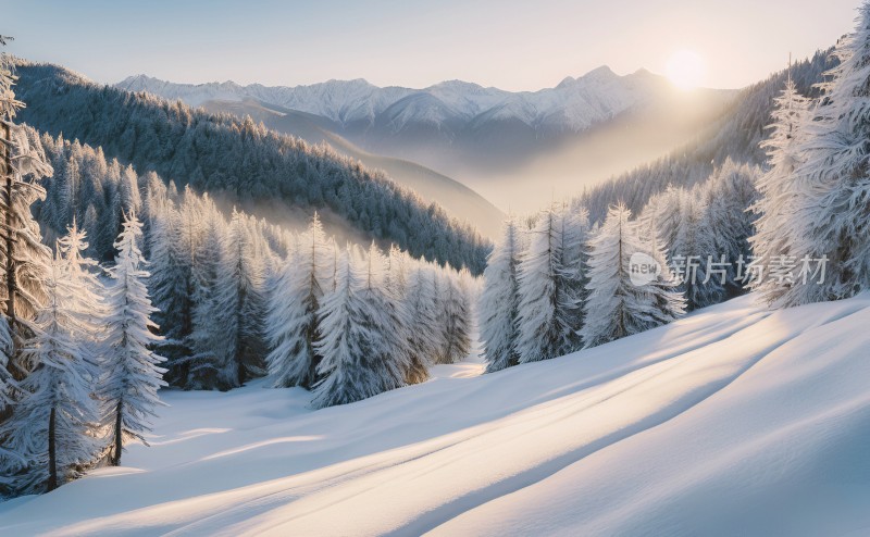 冬季森林白雪覆盖风景