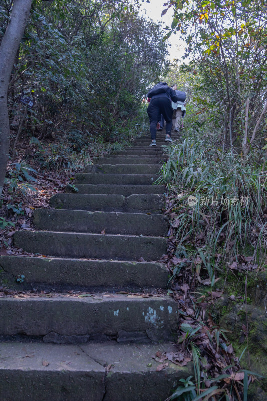 杭州午潮山石阶路景，绿意盎然的登山小径