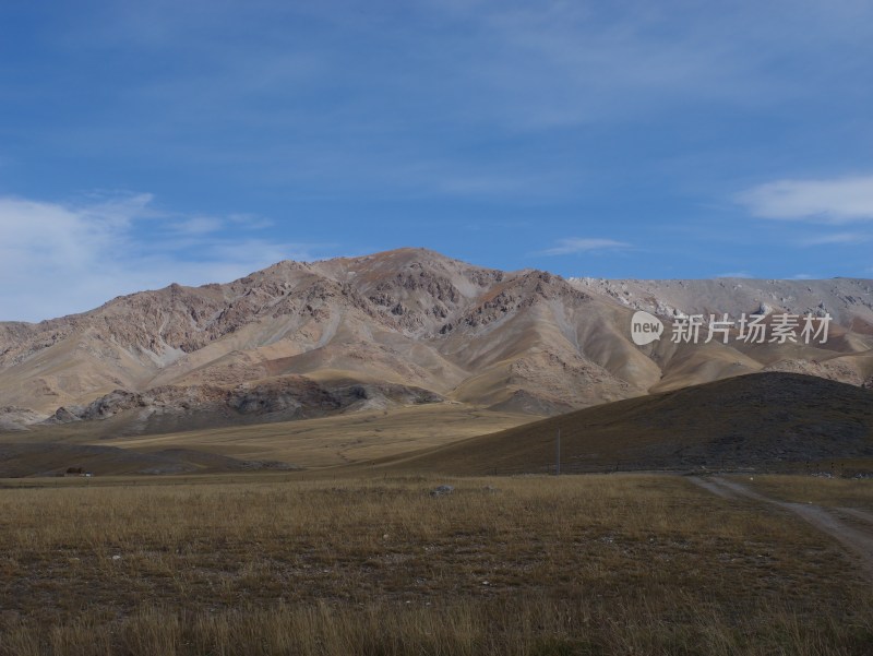 晴天的草地山脉