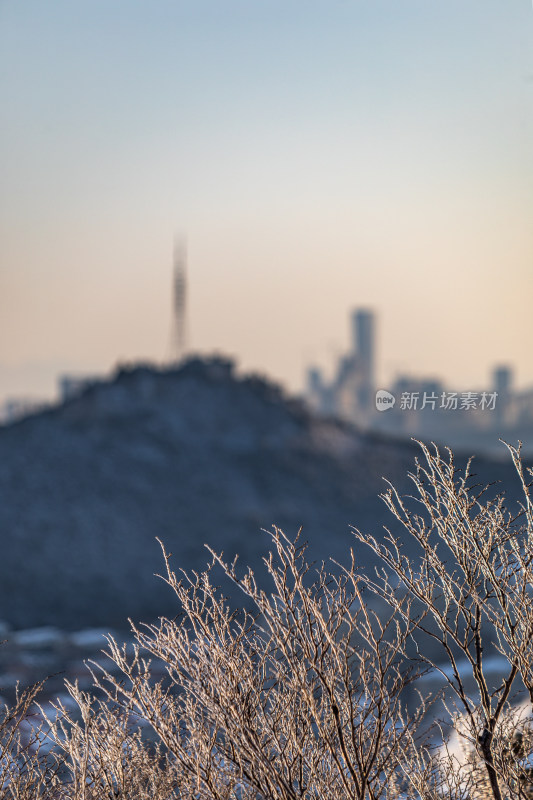 济南千佛山冬日雪景景观