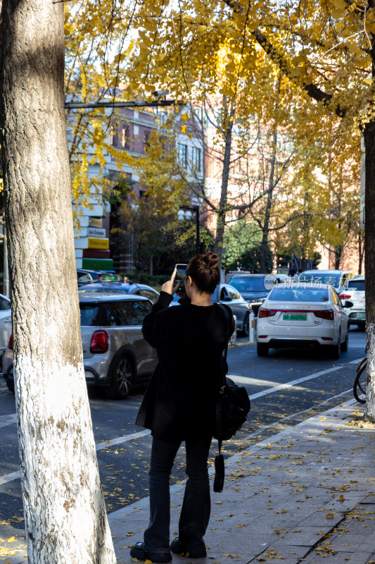 杭州清吟街女子街边拍摄秋日银杏的街景