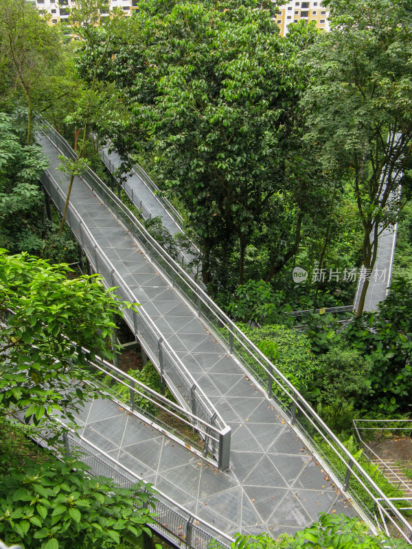 新加坡徒步路线 南部山脊