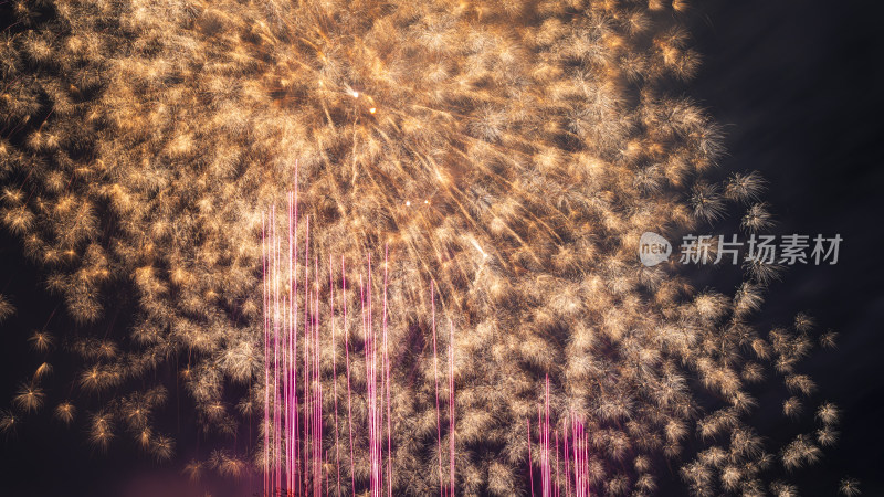 绚烂多彩的烟花绽放夜景