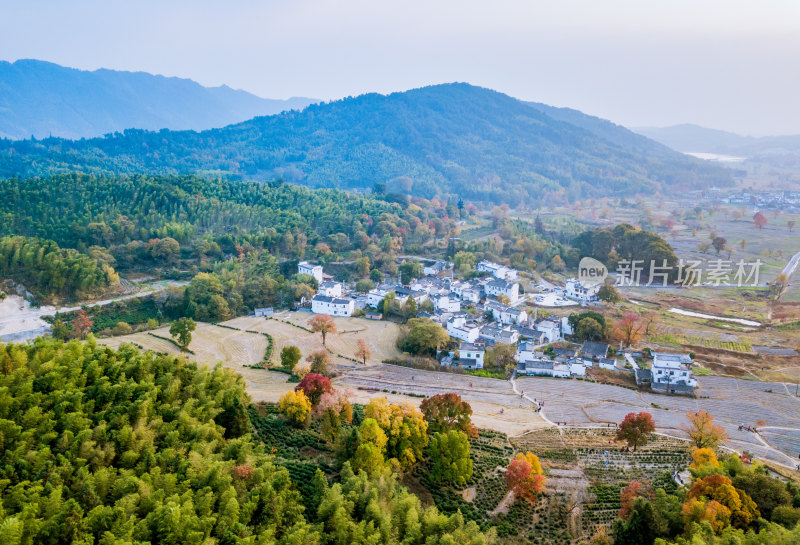 深秋安徽黄山市塔川秋色风光