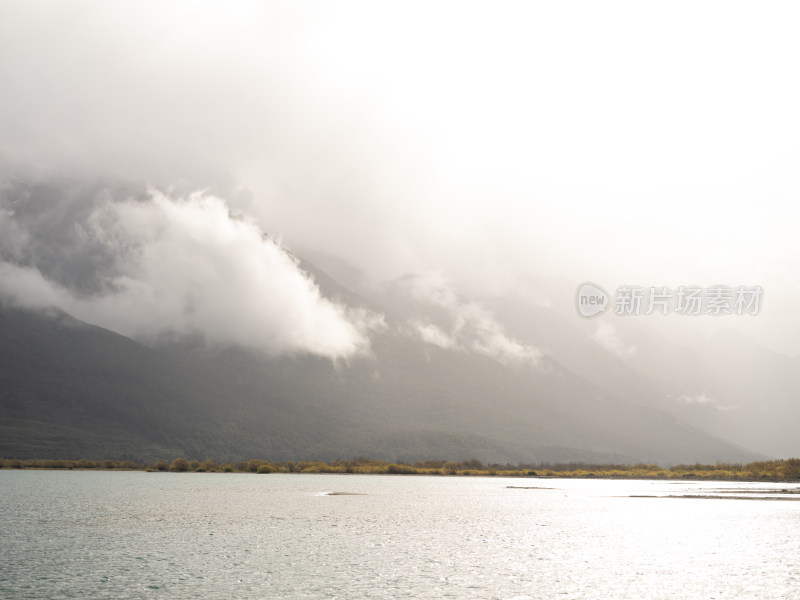 新西兰Glenorchy格林诺奇湖边小树