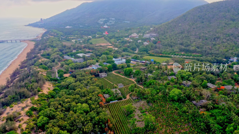 海南三亚南山寺航拍