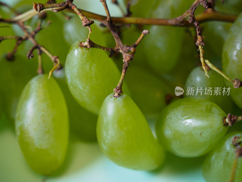 绿葡萄特写