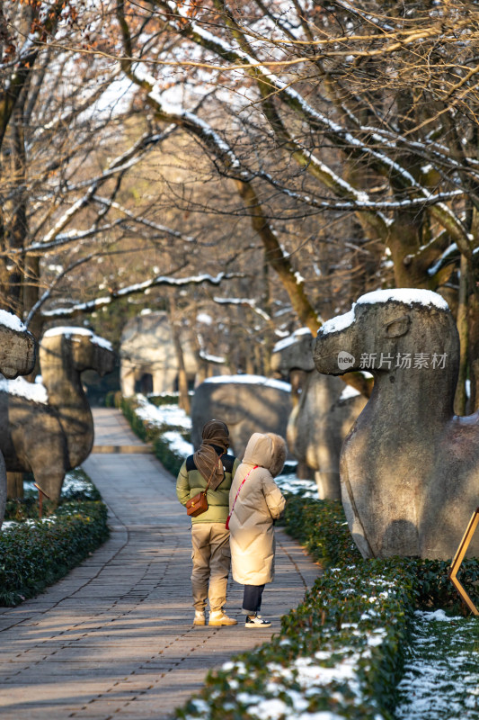 南京明孝陵石象路神道雪景