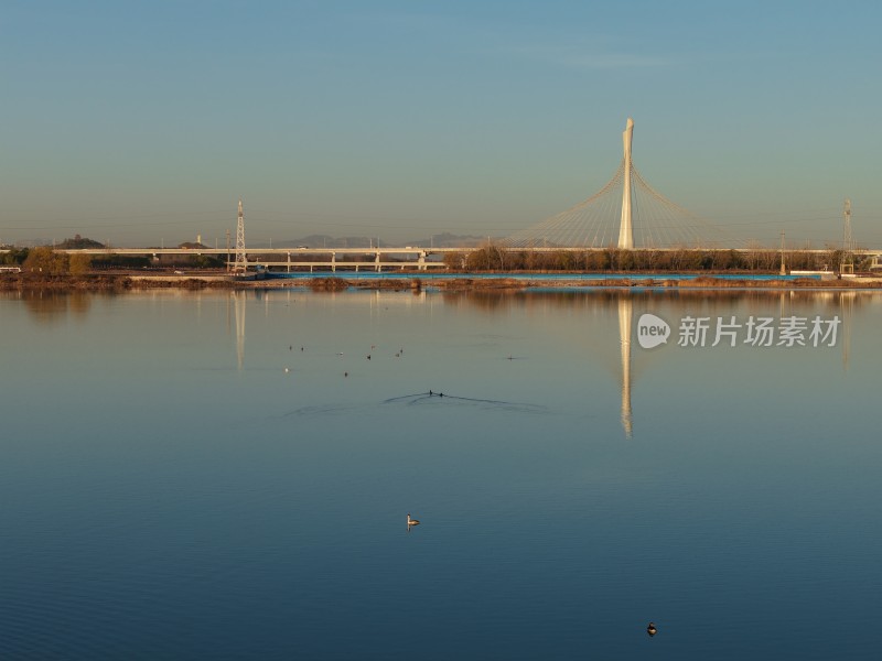 湿地保护区 鸟 石家庄 复兴大街