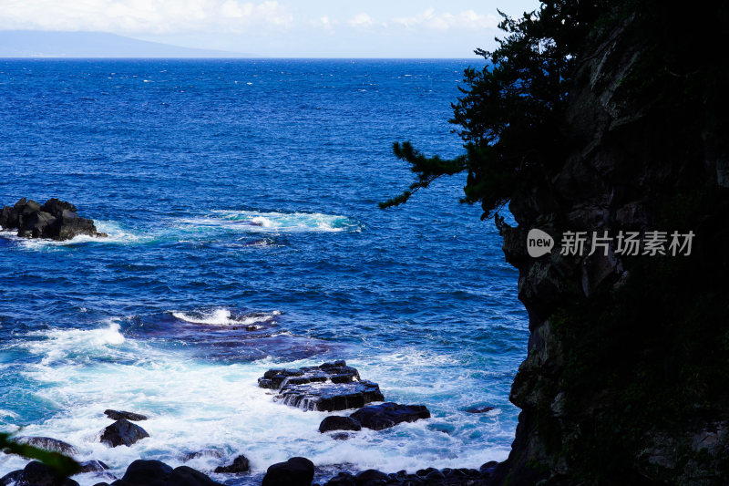 日本静冈县伊东市城崎海岸门胁吊桥一户建