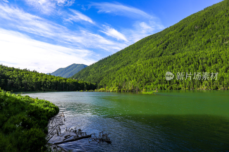 新疆阿勒泰喀纳斯森林河流自然风景旅游