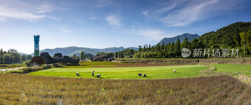 绿水青山发源地湖州安吉余村