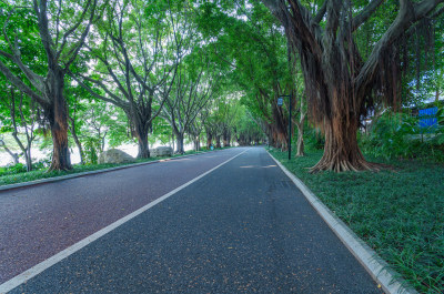 南宁南湖公园林荫大道跑道与树林园林景观