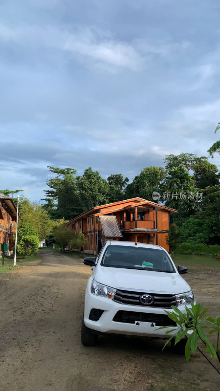 热带地区木屋与棕榈树风景