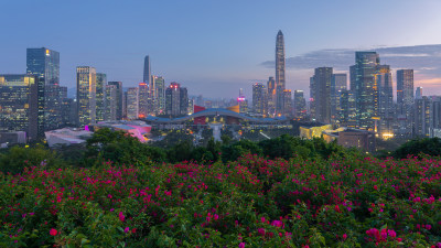 广东深圳莲花山市民中心城市天际线