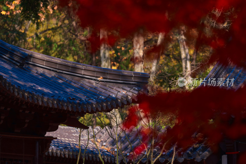 南京栖霞寺秋色