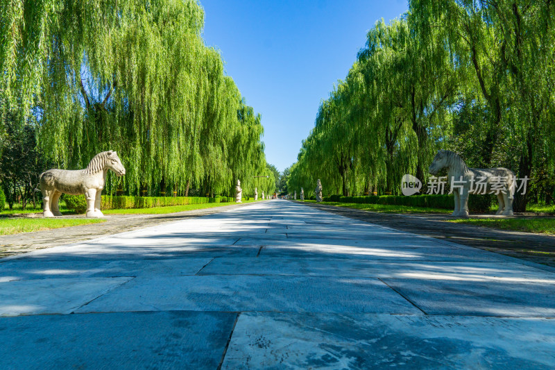 北京市昌平区5A景区明十三陵神路景区