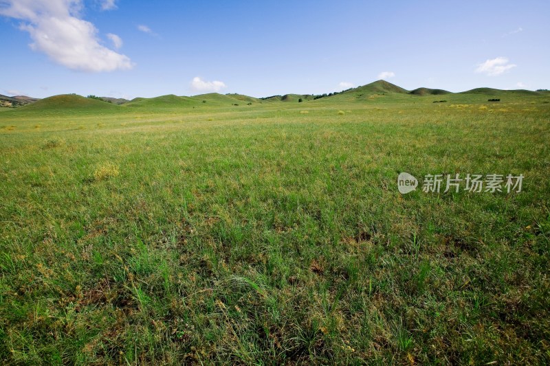 内蒙,坝上,乌兰木统,乌兰木统草原,红山,军马场,草原,草地,