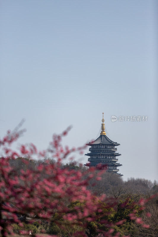 杭州西湖雷峰塔风景