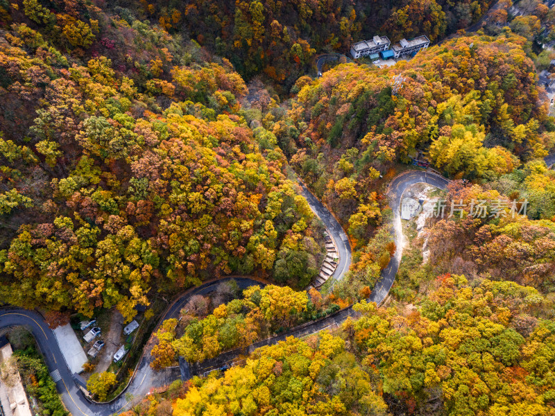 南阳老界岭秋景风光