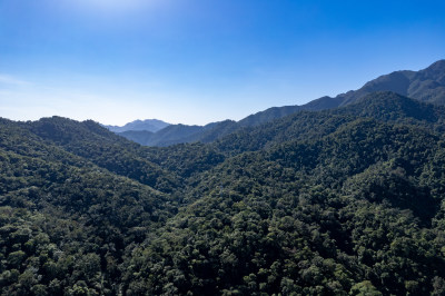 广东肇庆鼎湖山风景区航拍摄影图