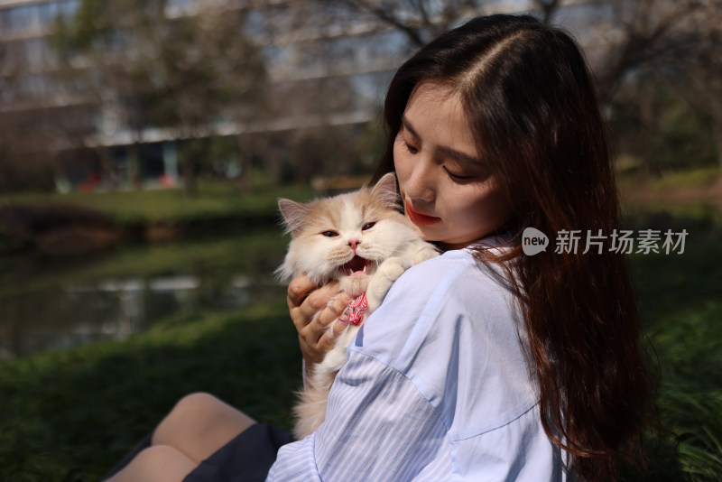 一个美女与宠物英国长毛猫的温馨互动