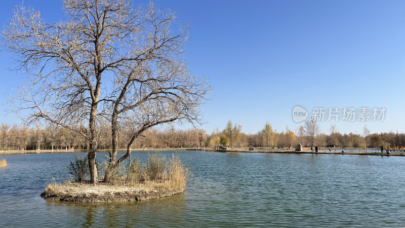 甘肃省酒泉市金塔胡杨林金波湖
