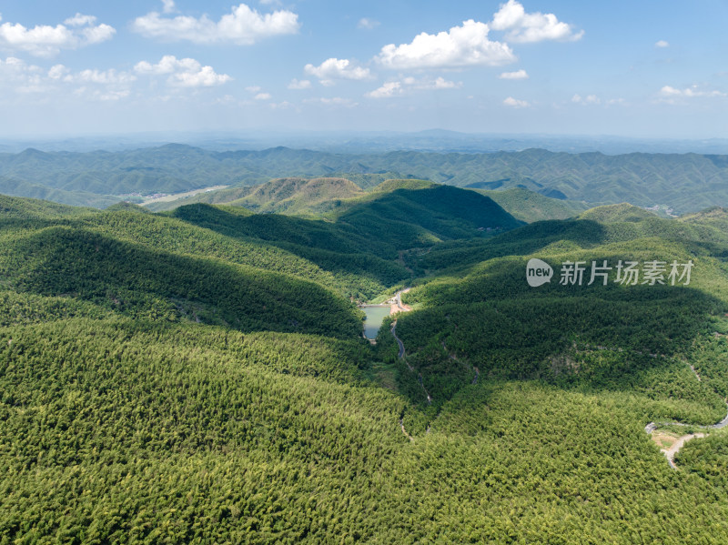 晴天航拍乡村漫山遍野的竹海、光影交错