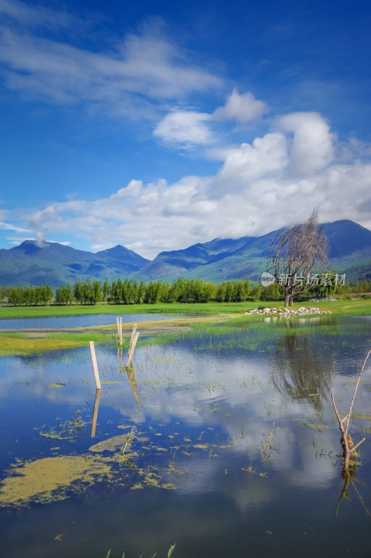 丽江拉市海湿地蓝天白云青山绿水自然风景