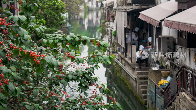 绍兴仓桥直街江南水乡风景