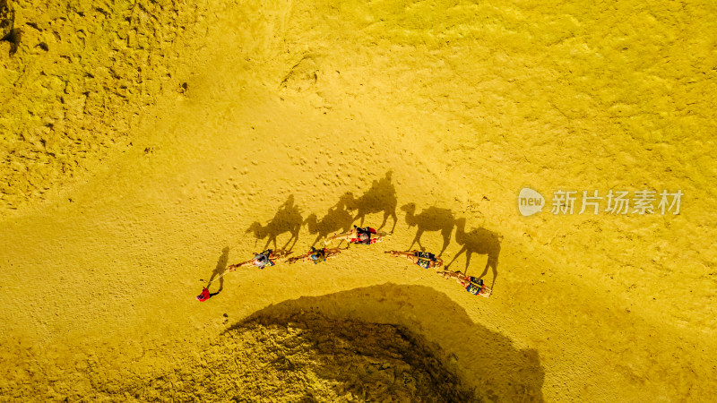 沙漠中的骆驼队