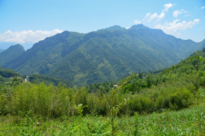 青山绿树自然风光