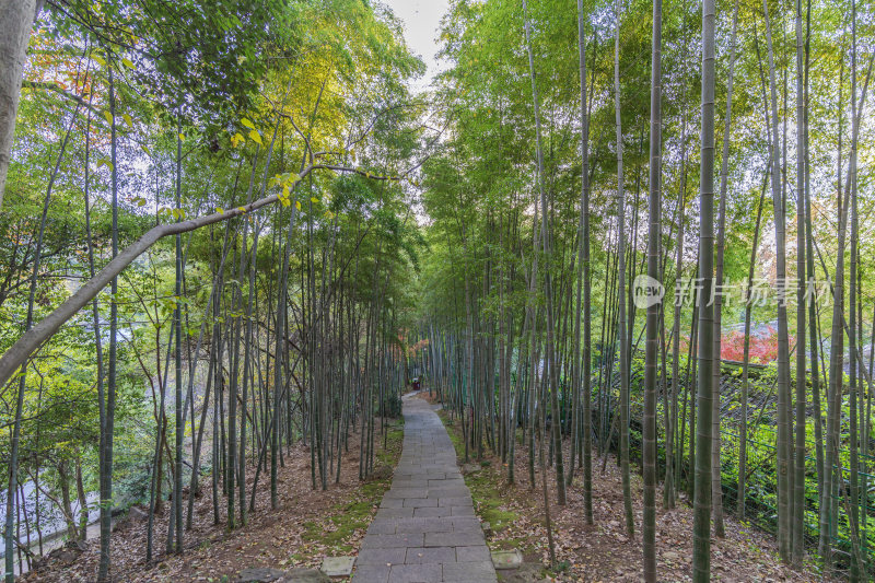 杭州栖霞岭黄龙洞景点风景