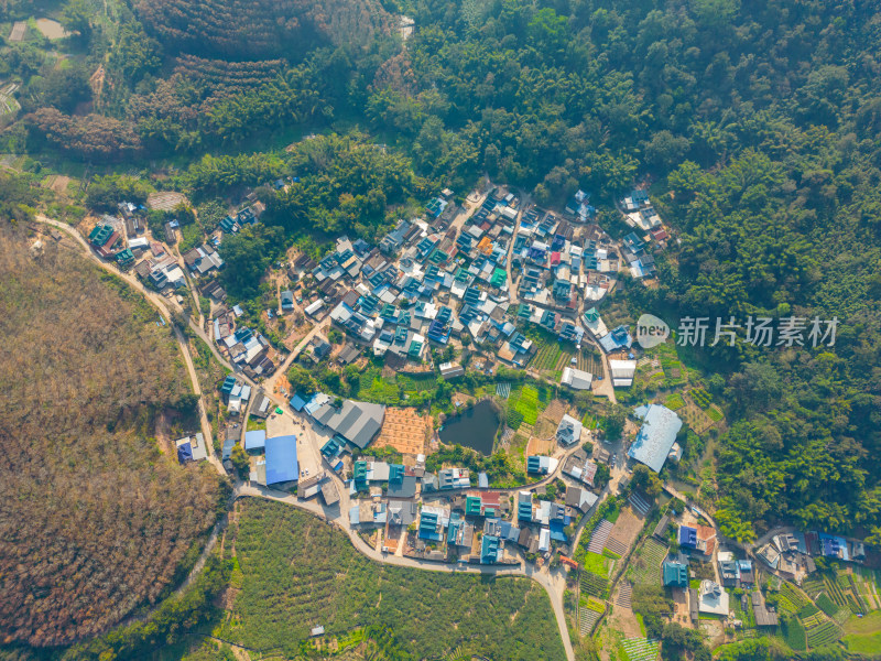 航拍乡村田园风光