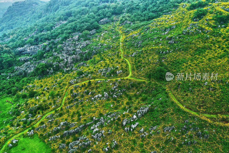 景德镇的高山花园