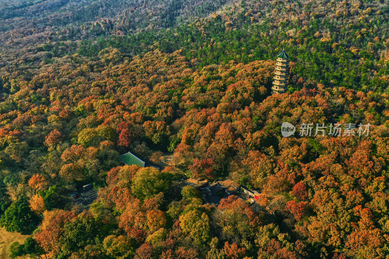 秋天的灵谷景区